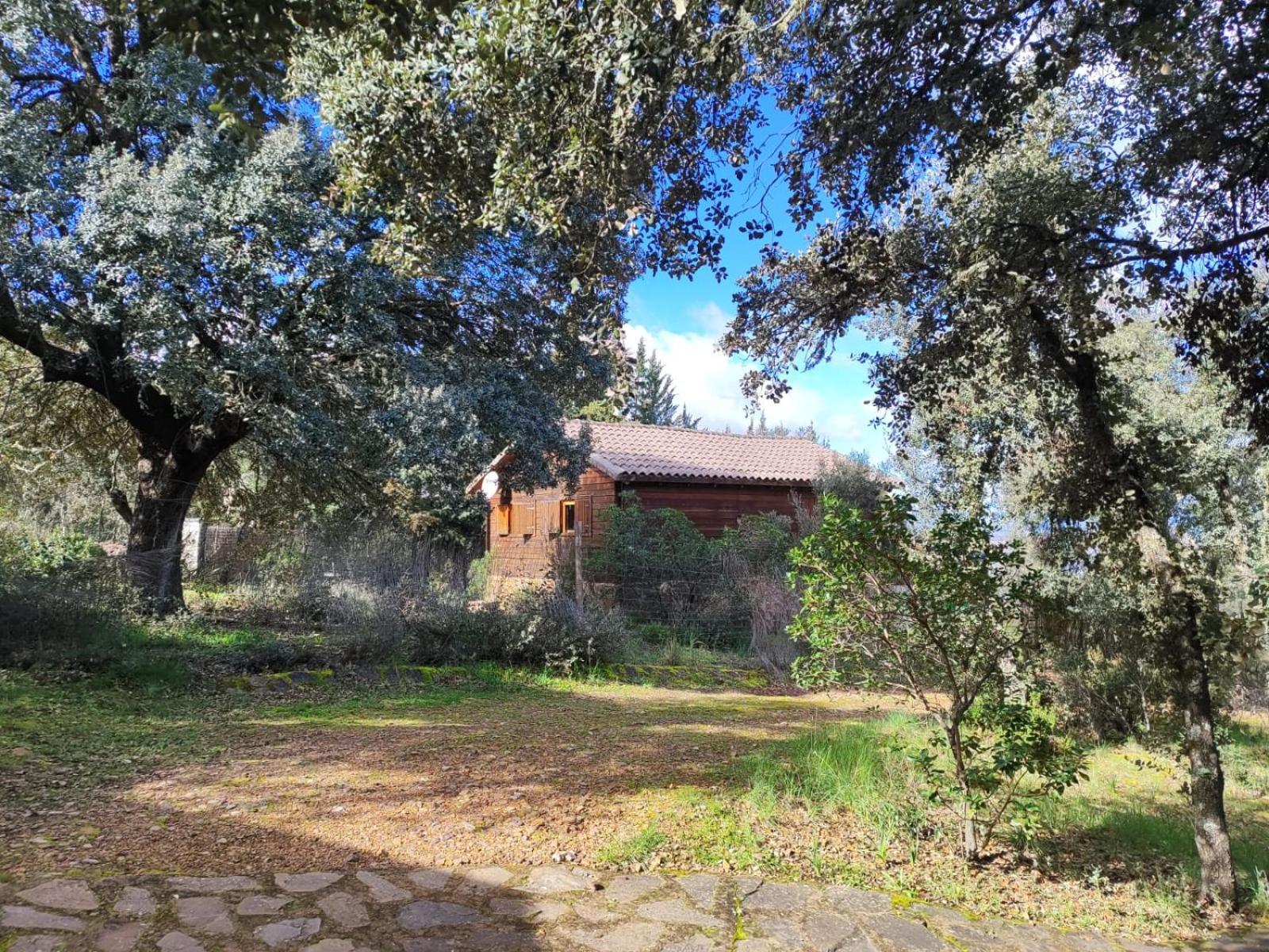 Nuevo Ecolodge Cabaneros Retuerta de Bullaque Eksteriør bilde