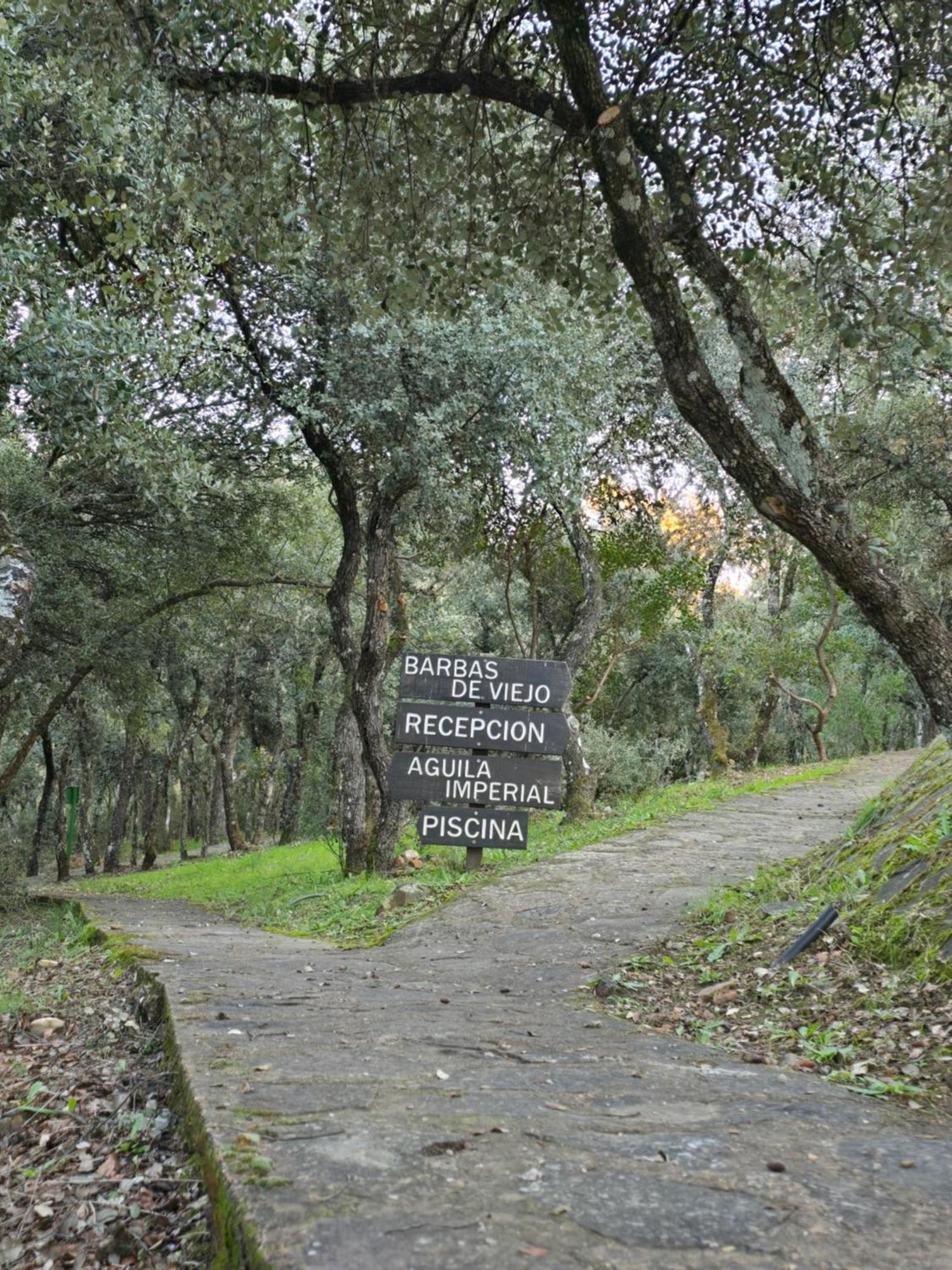 Nuevo Ecolodge Cabaneros Retuerta de Bullaque Eksteriør bilde