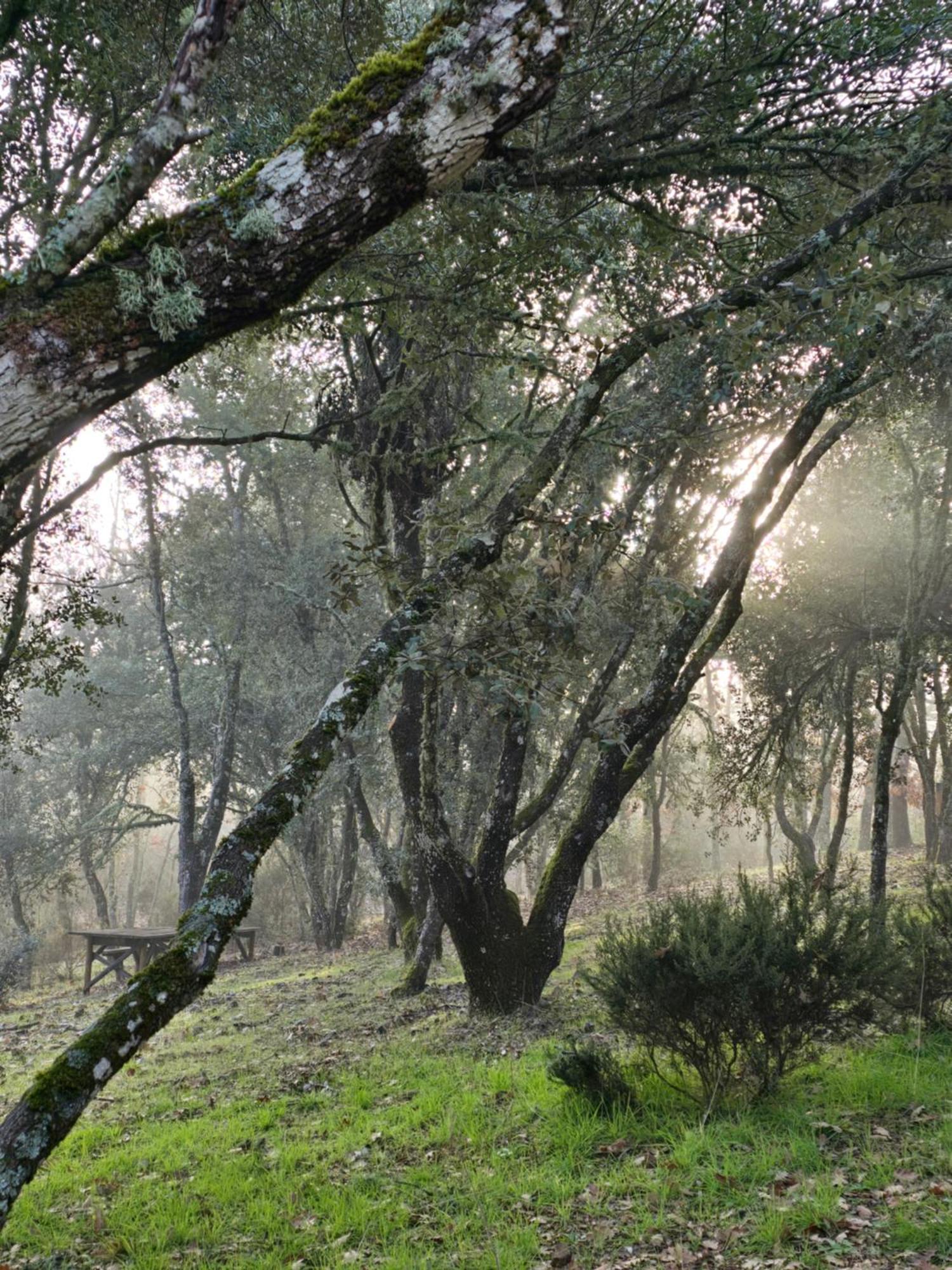 Nuevo Ecolodge Cabaneros Retuerta de Bullaque Eksteriør bilde