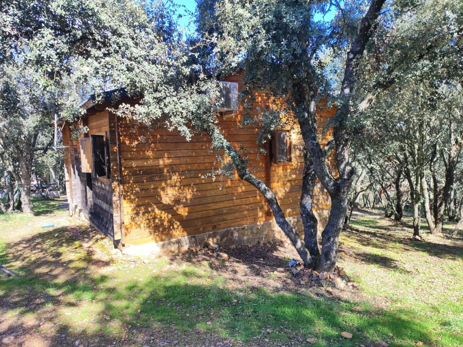 Nuevo Ecolodge Cabaneros Retuerta de Bullaque Eksteriør bilde